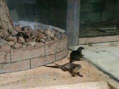 -亚马逊丛林水乐园