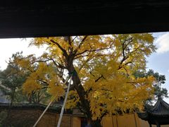 -无锡惠山寺