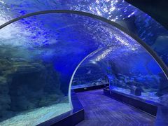 -江和美海洋公园