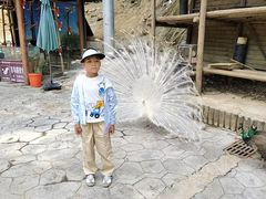 -栾川竹海野生动物园