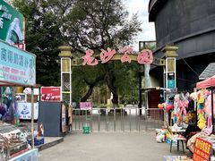 -龙沙公园