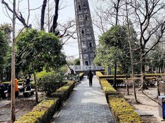 -上海佘山国家森林公园天马山园