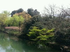 -西湖外事游船(花港观鱼码头)