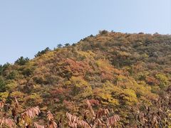 -云岫谷游猎自然风景区