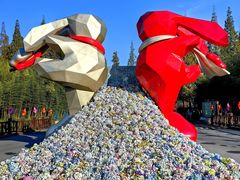 -黄海国家森林公园