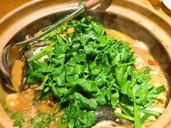 -九道菜有鸡鱼头(石鼓路店)