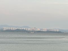 -深圳湾公园(南山区)