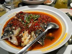 -饭怕鱼·黄焖鲟龙鱼(湖大店)