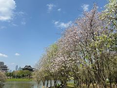 -海珠湖公园