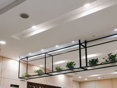 -大富贵(旗舰店)