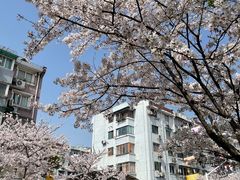 -永乐路-路侧停车场