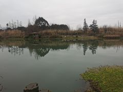 -桤木河湿地公园