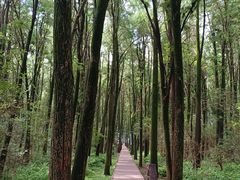 -同里国家湿地公园