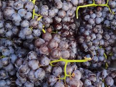 -三旗百汇商品城