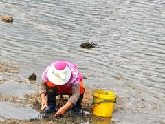 -日照世帆赛基地