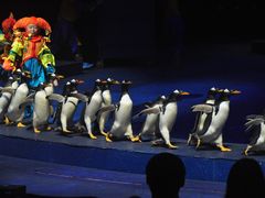 -珠海横琴长隆《卡卡虎奇遇记》