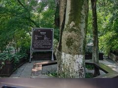 -古隆中景区