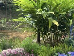 -云溪植物园