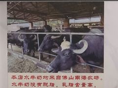 -水牛奶皇后糖水铺