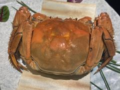 -匠和风精致料理(成都龙湖滨江天街店)