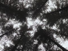 -石棉县孟获城