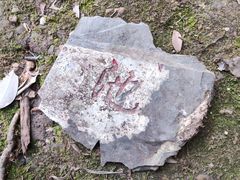 -云碧峰国家森林公园