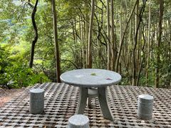 -黄埔油麻山森林公园