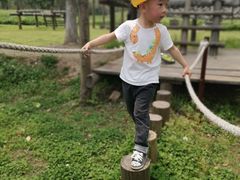 -田园东方蜜桃村的田野营地