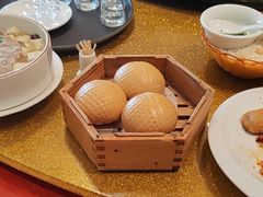 -金龙寨(龙城路店)