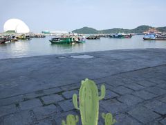 -野狸岛