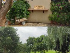 -村上春树