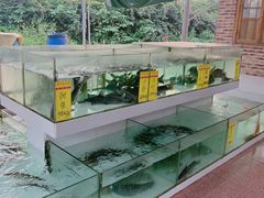 -水上人家河鲜