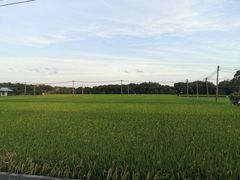 -小西家作(富力爱丁堡店)