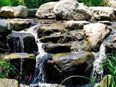 -白水寺森林公园
