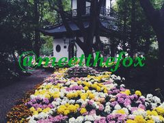 -汇龙潭