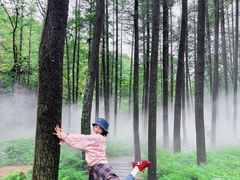 -洛阳白云山景区