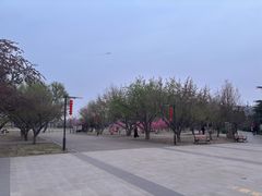 -太阳宫公园