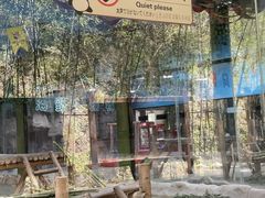 -栾川竹海野生动物园