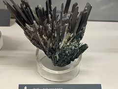 -中国地质博物馆