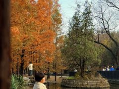 -白水寺森林公园
