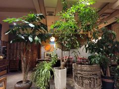 -慢丽江·云南野生菌土鸡锅(付家庄店)