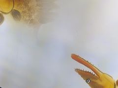 -徽三说·土徽菜·中国徽菜连锁品牌(一中店)