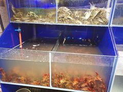 -虾蟹掌门音乐主题餐厅