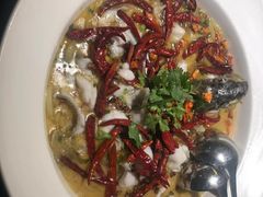 -渔见·精品川菜·老坛酸菜鱼(大朗店)