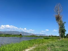 -洱海月湿地公园