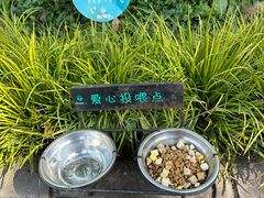 -静安公园(静安寺街道)