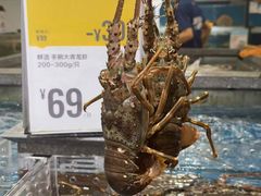 -盒马鲜生(岭南新世界店)