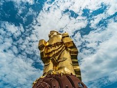 -大金鹰园