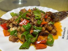 -煲来饱去冷水鱼