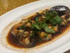 -皇朝尊会(龙之梦大酒店)